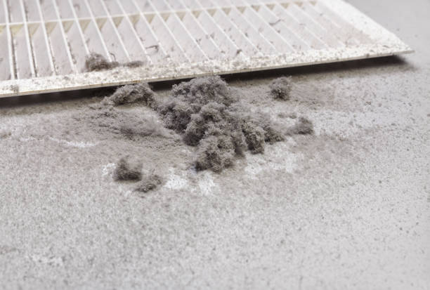 Best Best Air Duct Cleaning Company  in New Braunfels, TX